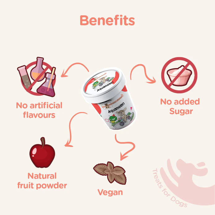 Waggy Zone Insta Mix Doggy Icecream -  Aquamelon