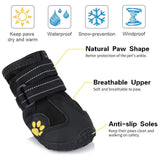 Pawz Waterproof Dog Boots - Large - Black