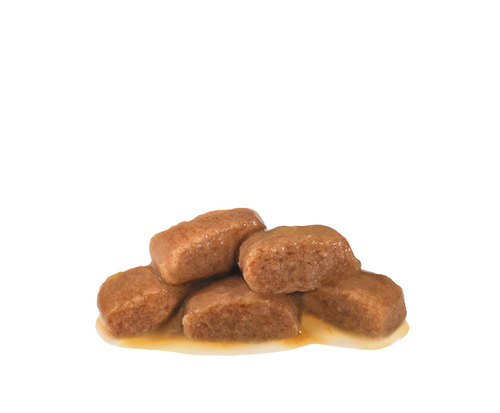 Royal Canin Gastrointestinal In Gravy Adult Cat Pouch