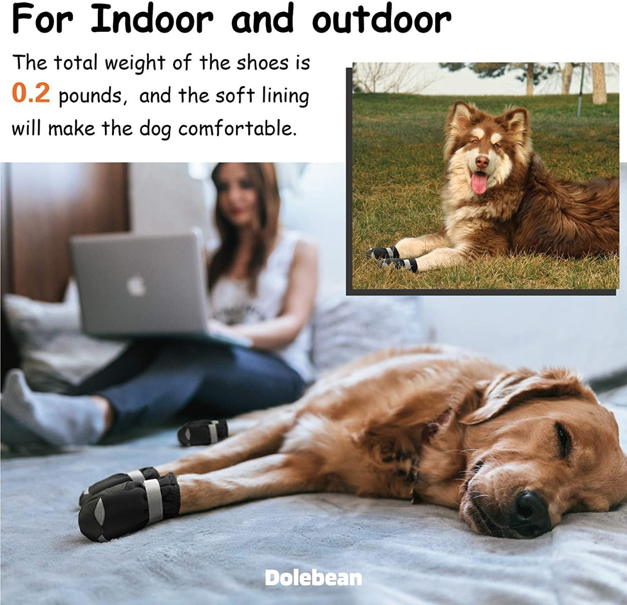 Pawz Waterproof Dog Boots - Large - Black