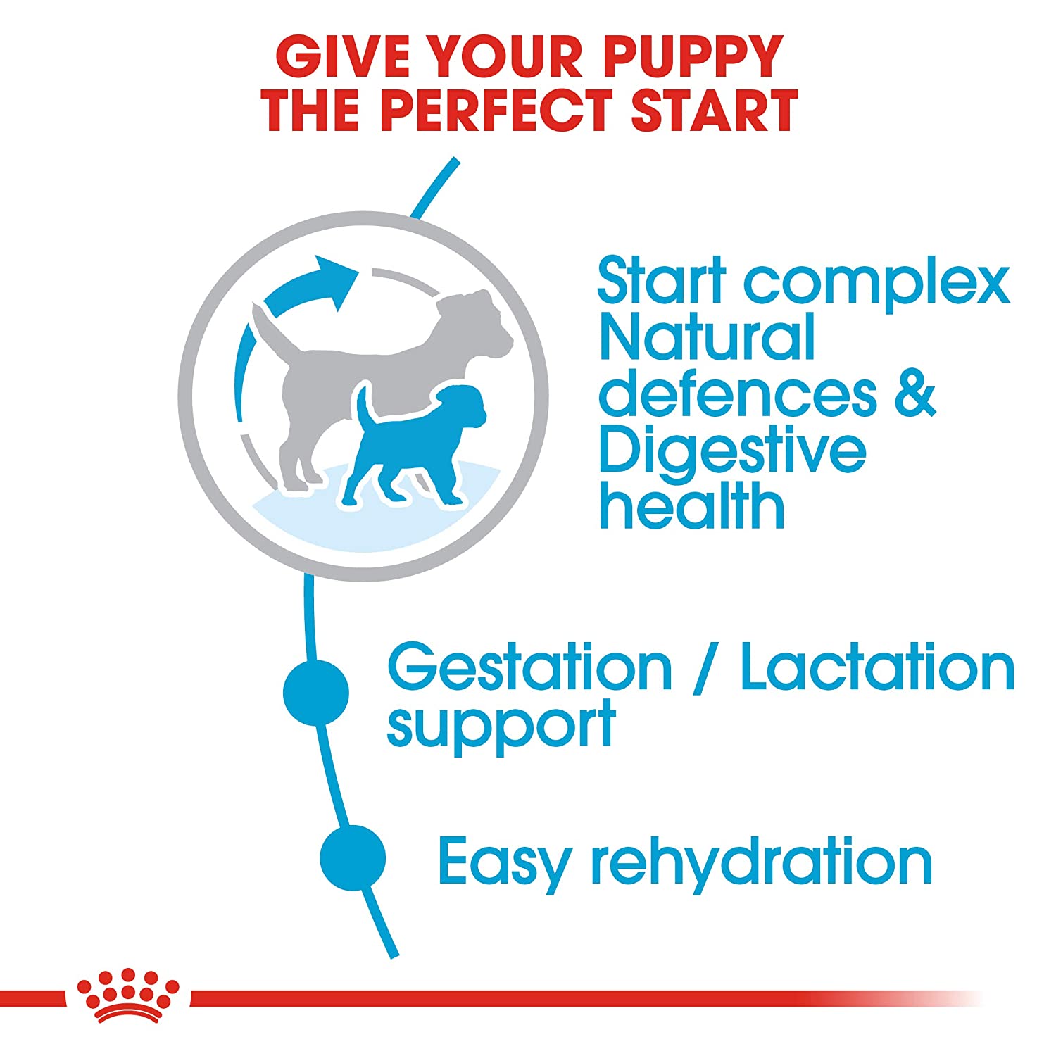 Royal Canin Mini Starter Mother & Baby Dog Dry Food