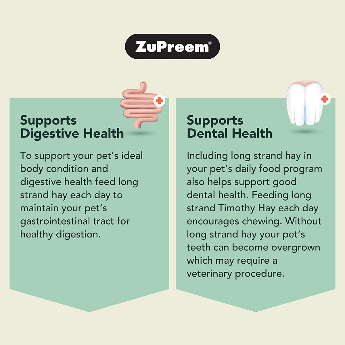 ZuPreem Natural Timothy Hay for Small Animals