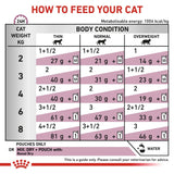 Royal Canin Renal With Chicken Cat Pouch