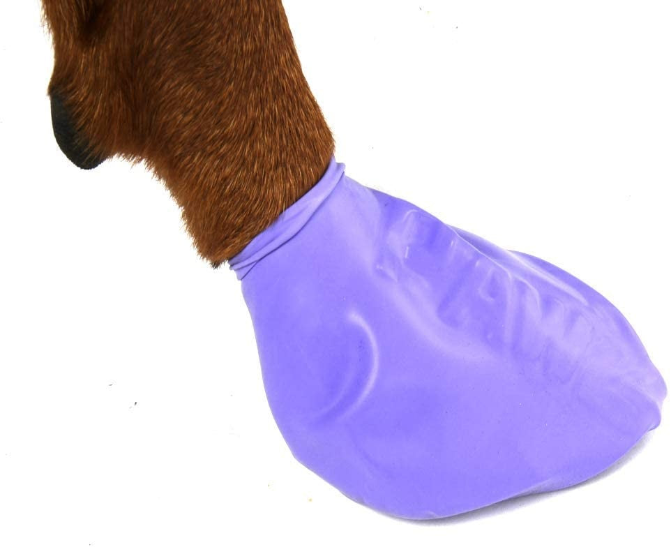 Pawz Waterproof Dog Boots - Large - Purple