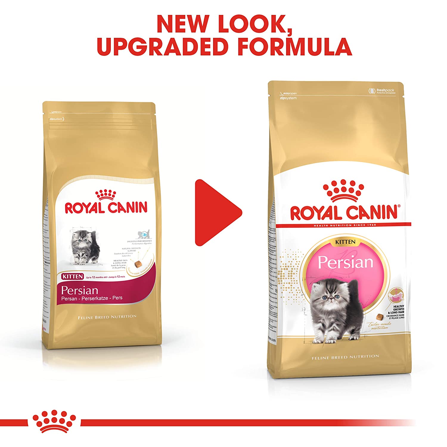 Royal Canin Persian Kitten Dry Food