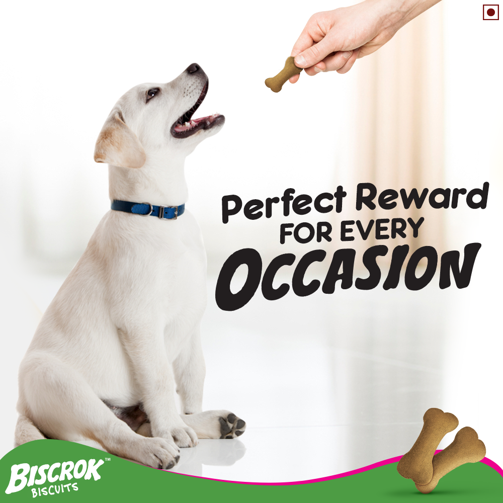 Pedigree : Biscrok Dog Biscuits – Milk & Chicken Flavour (Family Pack)