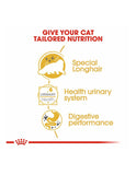Royal Canin Persian Adult Cat Pouch