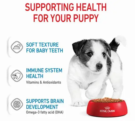 Royal Canin Mini Puppy Gravy Salsa Pouch