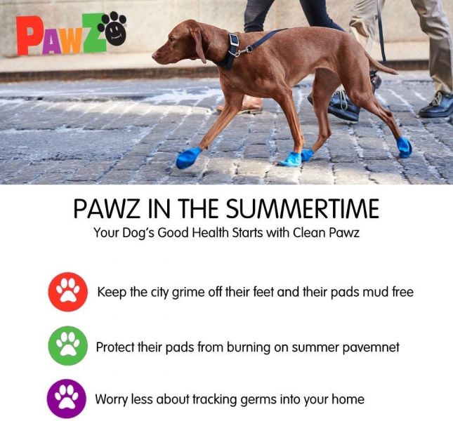 Pawz Waterproof Dog Boots - Extra Large - Green