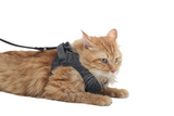 A+a Pets Feather Weight Harness & Leash Set For Cat & Small Dogs