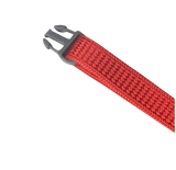 Nunbell Cat Collar With Bell (Size - 10 MM) (colors may vary)