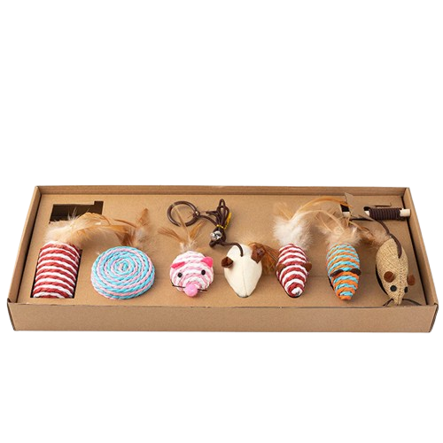 Holy Paws Cat Toy Box Set (Color May Vary)