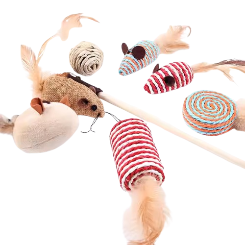 Holy Paws Cat Toy Box Set (Color May Vary)