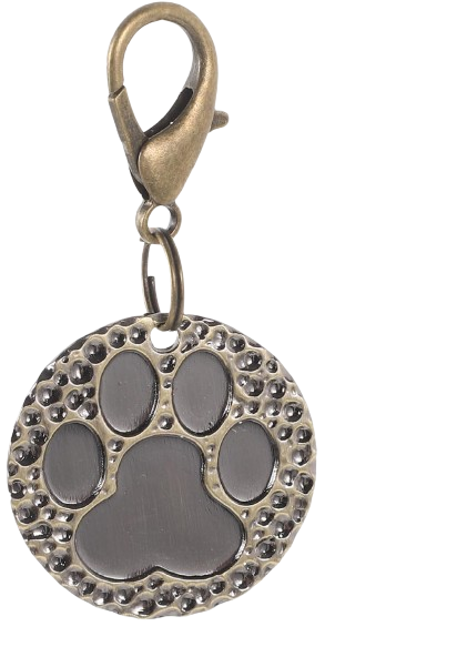Smarty Pet Round Shape Tag Cum Collar Charm