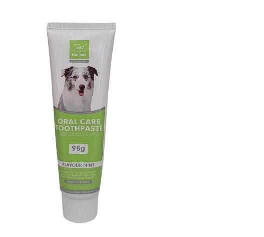 Nunbell Oral Care Toothpaste – Mint Flavour