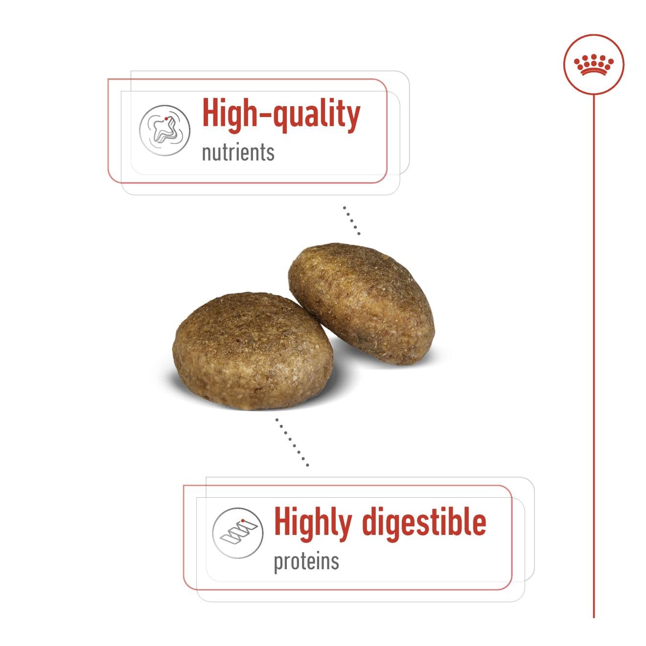 Royal Canin Maxi Adult Dog Dry Food