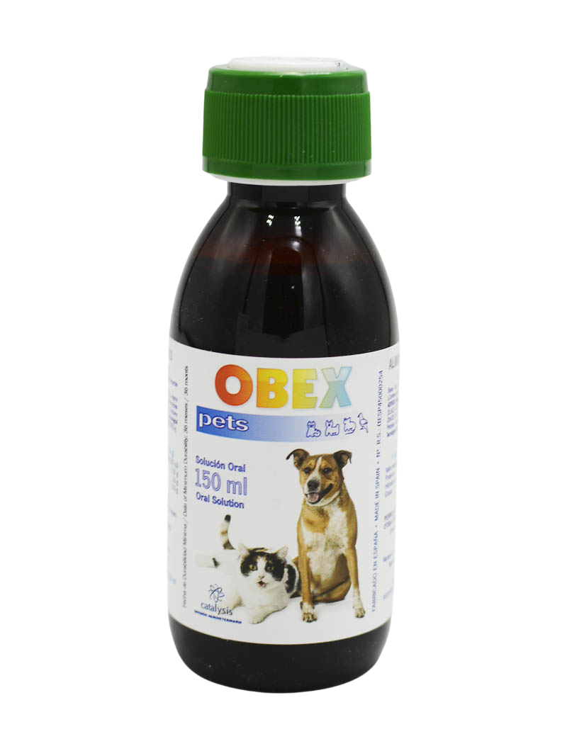 Vivaldis : Obex Pets Alimento Complementario Oral Solution