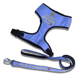 A+a Pets Pataka Harness & Leash Combo Set For Dogs & Cats
