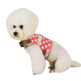 A+a Pets Retro Vest Style Combo Of Harness & Leash Set For Cats & Small Dogs