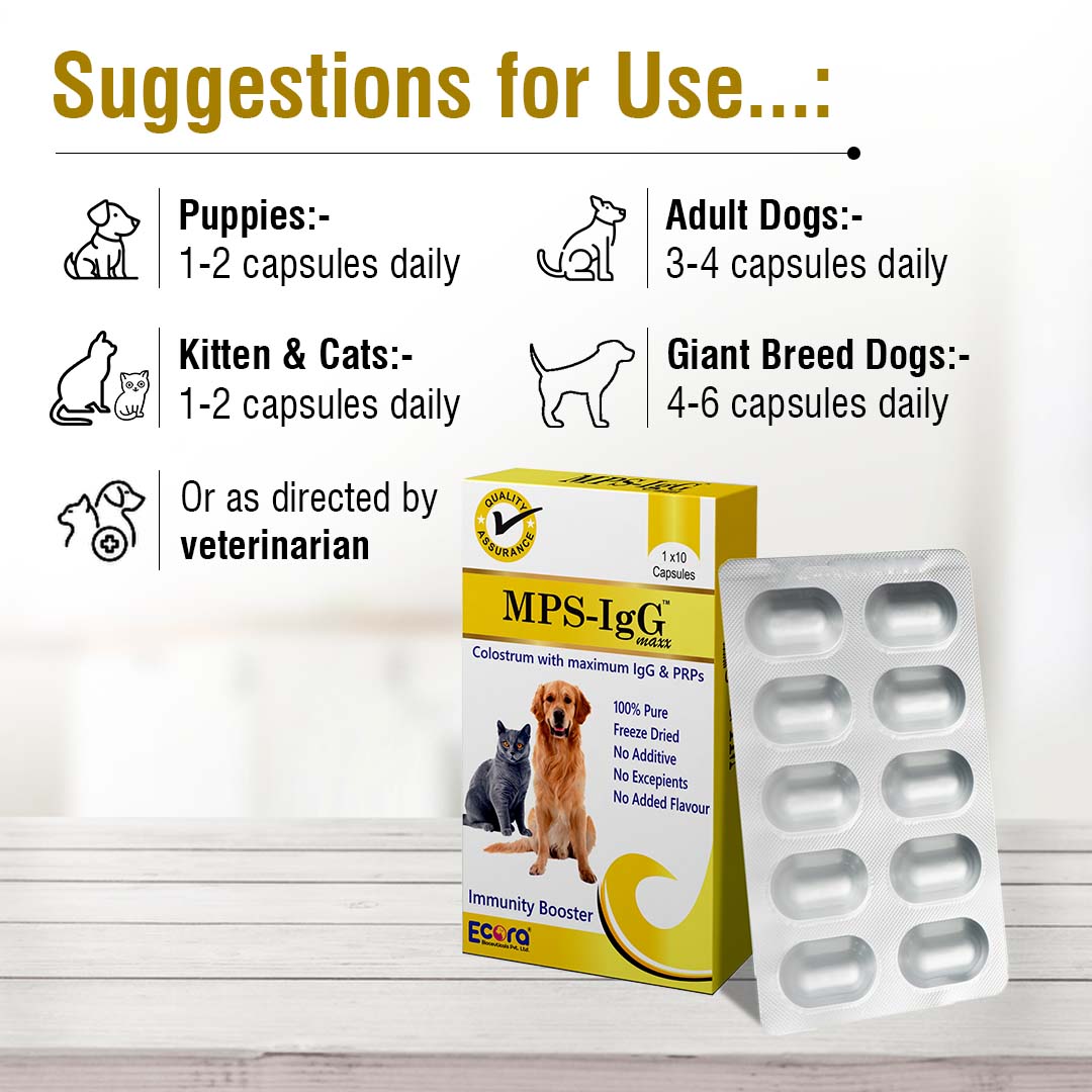 My Pet Solutions IgG-MAXX Immunity Booster Tablets