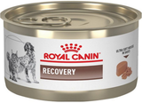 Royal Canin Recovery Dogs and Cats (Tin)