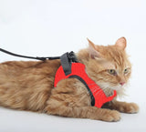 A+a Pets Feather Weight Harness & Leash Set For Cat & Small Dogs