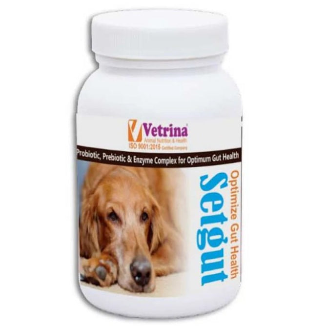 Vetrina Setgut Powder – Probiotic & Enzyme Supplement for Dogs