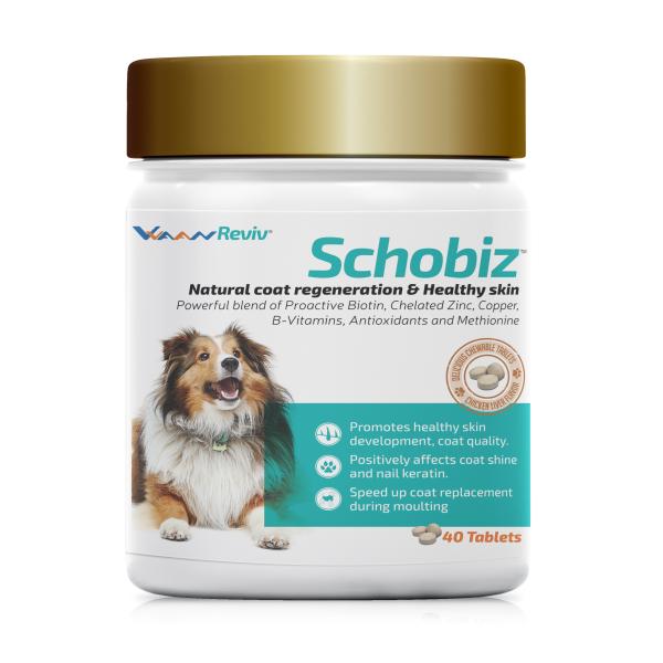 Vvaan: Schobiz Coat & Skin Supplement for Dogs