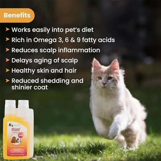 Wiggles Wicoat Coat Supplement for Dogs & Cats