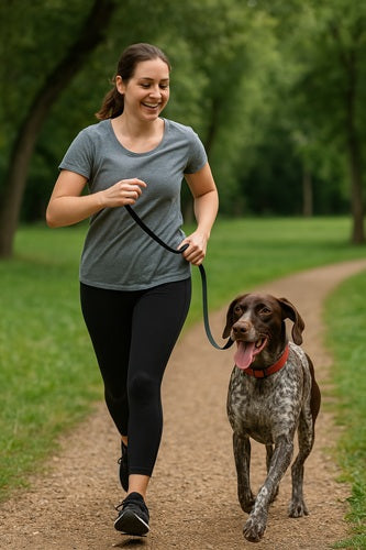 Dogs Not Getting Exercise How To Create An Exercise Routine For Your dog – ShakeHands