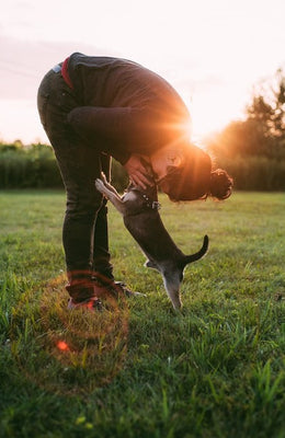 The Science Behind Why Pets Make Us Happy