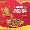 Friskies Meaty Grills Adult Cat Food