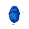 Smarty Pet Spike Rugby Ball Chew Dog Toy