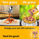 Pedigree Puppy With Chicken Chunks In Gravy Pouch 70 G (Pack Of 90) - Ecom Pack