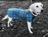 Pawz Dog Coat With Built In Harness