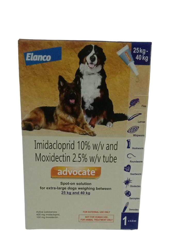 Advocate large dog deals