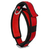 Patento Pet Sports Collar With Integrated Lead for Dog