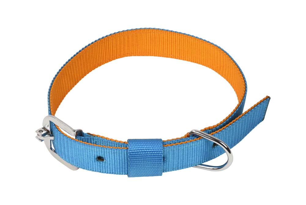 Kennel Soft Nylon Two Color Collar (1/2")