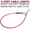 Petropolis Stretchable Training Tie Out Cable Leash - Small