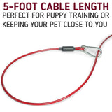 Petropolis Stretchable Training Tie Out Cable Leash - Small