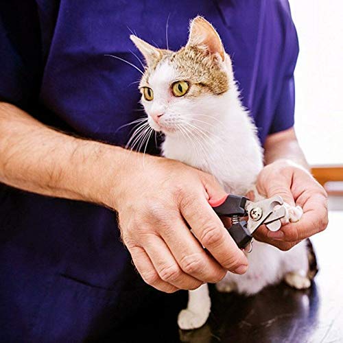 Smarty Pet Nail Clipper Stainless Steel - Small