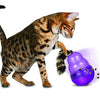 Kong Wobbler Treat & Food Dispensing Cat Toy
