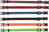 Trixie Puppy Dark Colours collars  M-L (Set of 6 )