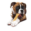 Nylabone Essentials Power Long Lasting Chew Bone - Original Flavor