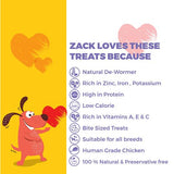 Captain Zack Pumpkin Prize Real Chicken and Pumpkin Jerky Treats