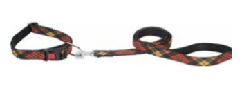 Kennel Urban Prints Collar & Leash Set (W = 3/4 Inch)