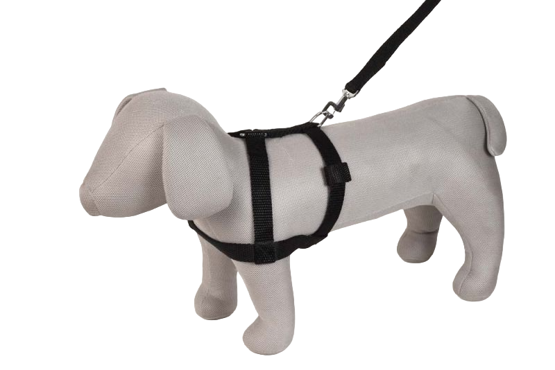 Kennel Nylon Body (1")