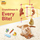 Purina Friskies Kitten Discoveries Dry Food