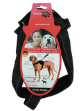 Patento Pet Padded Soft Jockey Dog Harness (Color May Vary)