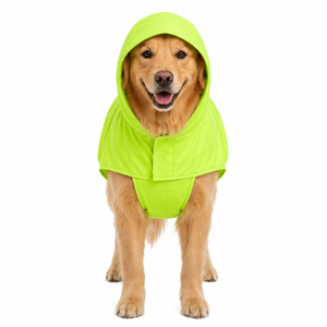 Canes Venatici Raincoat - Neon Green